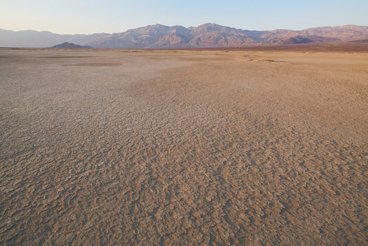 VI. The Eastern Sierras and Nevada
