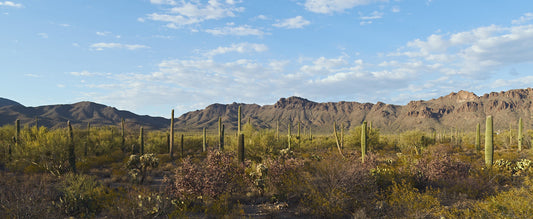 I - Southern Arizona