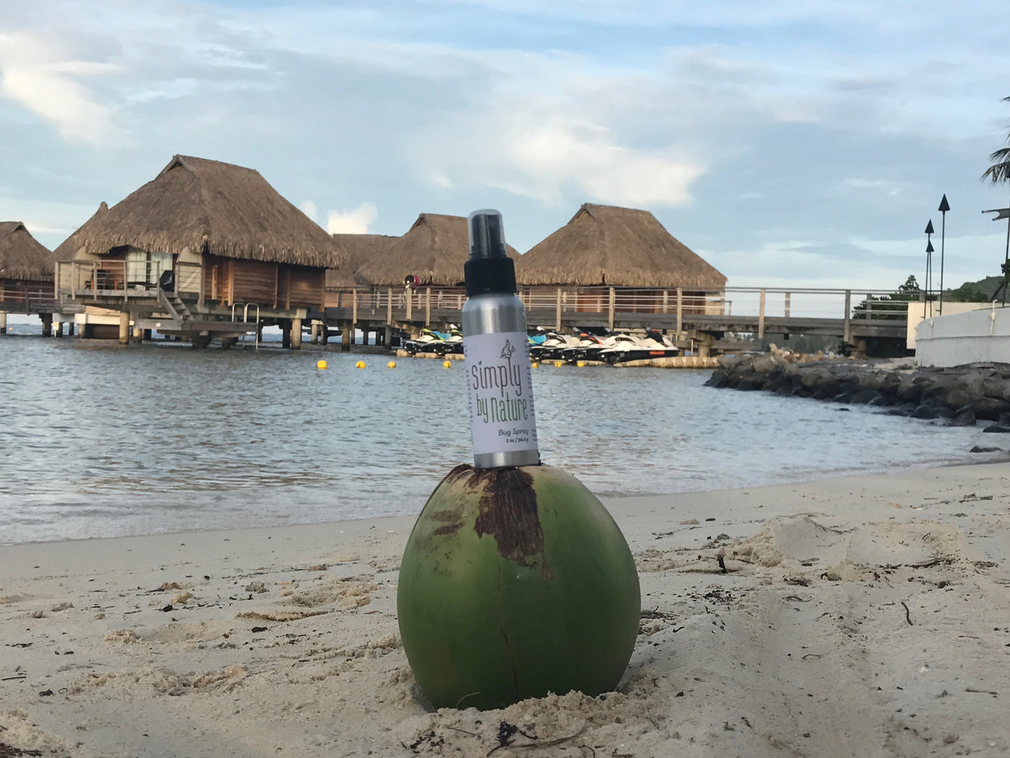 Organic Bug Spray