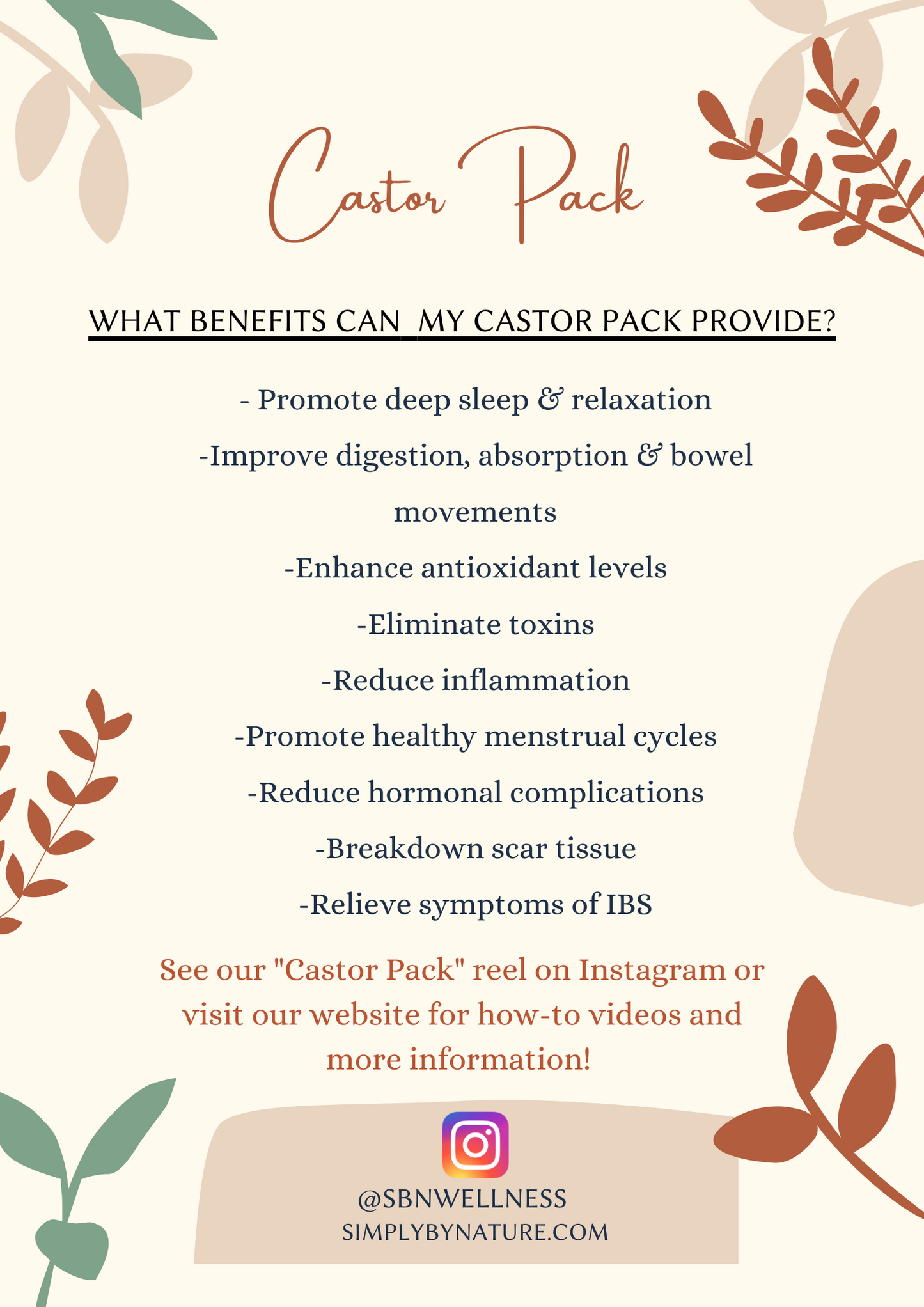 Reusable Castor Pack Bundle