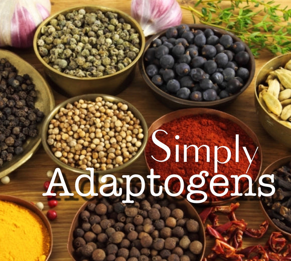 adaptogens alternative  holistic health indian spices and herbs